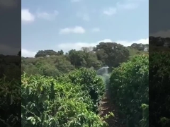 Agricultural Pesticide Spraying Uav Drane