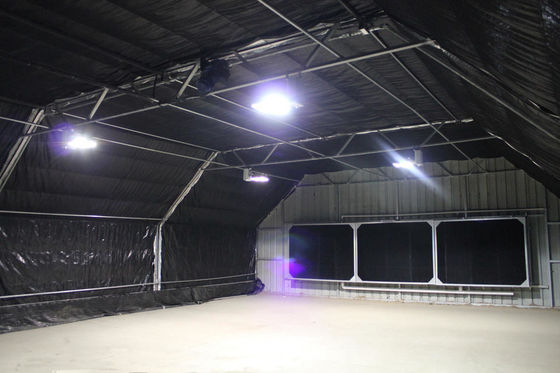 Single Span PE Film Greenhouse TUV Low Cost Poly Tunnel Greenhouse