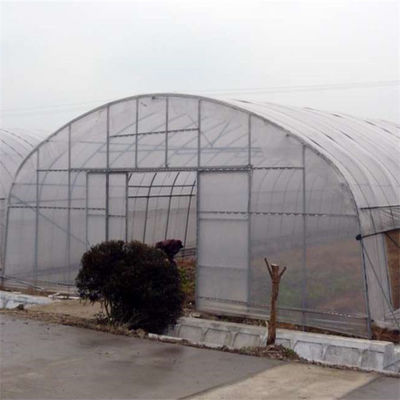 Single Span PE Film Greenhouse TUV Low Cost Poly Tunnel Greenhouse