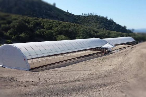 Single Span PE Film Greenhouse TUV Low Cost Poly Tunnel Greenhouse