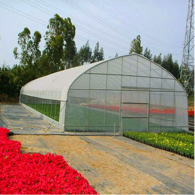 100 Micron PE Film Greenhouse Single Layer Plastic Tunnel Greenhouse