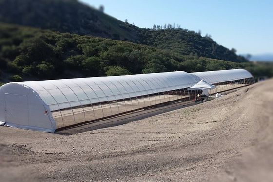 Galvanized Steel Frame PE Film Greenhouse 3.2m High Tunnel Greenhouse