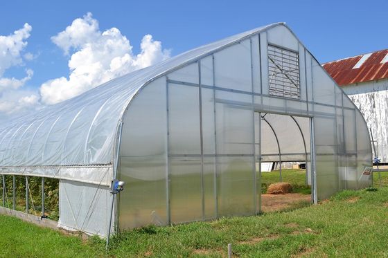 Single Tunnel PE Film Greenhouse Economic Type Vegetable Green House