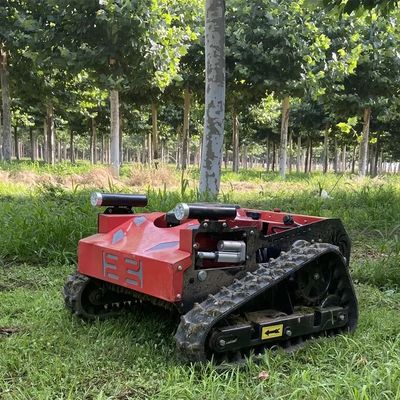 Weed Remover Agricultural Lawn Mower TUV Walk Behind Mower 550mm