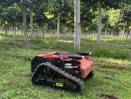 Weed Remover Agricultural Lawn Mower TUV Walk Behind Mower 550mm