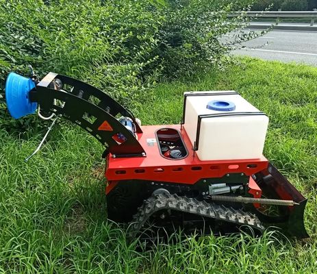 Weed Remover Agricultural Lawn Mower TUV Walk Behind Mower 550mm